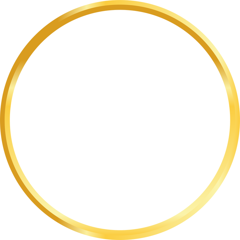 Ring round  gold shape abstract frame border background element